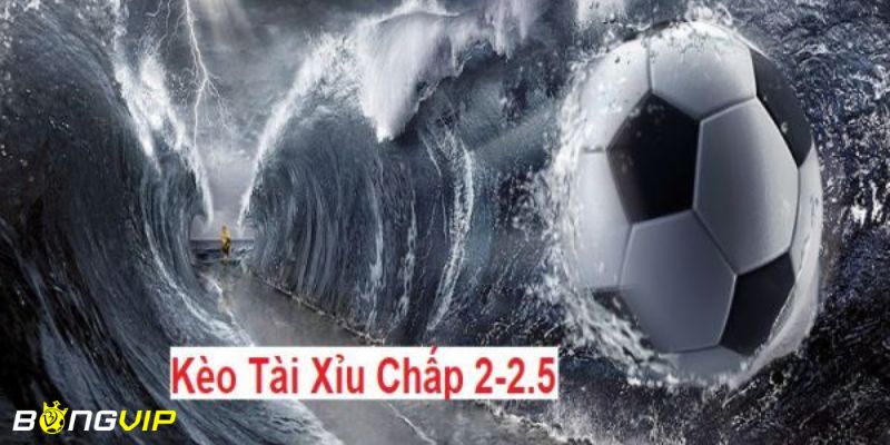 Giải thích kèo tài xỉu 2-2.5 là gì chuẩn xác